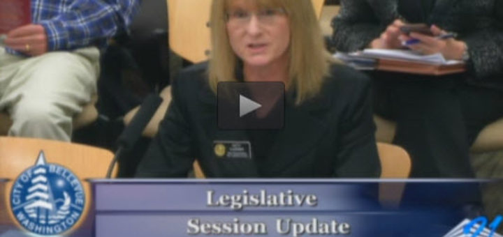 State Representative Patty Kuderer at the Bellevue City Council meeting in April.