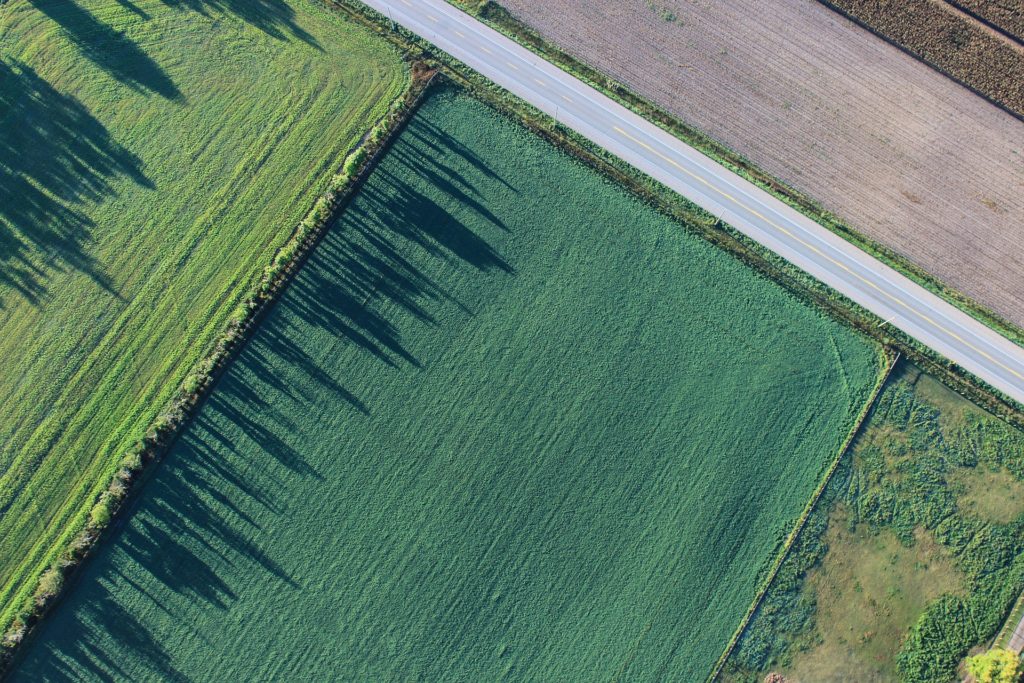 Farmland ariel view