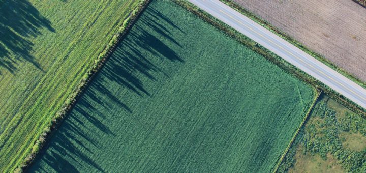 Farmland ariel view