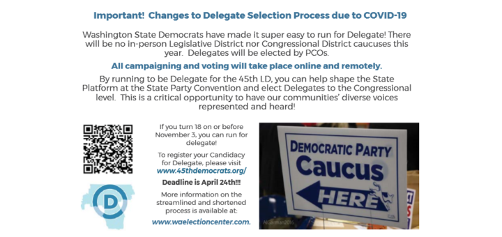 2020 Delegate Selection Postcard