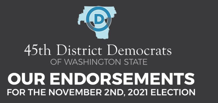 45th LD Endorsement Guide