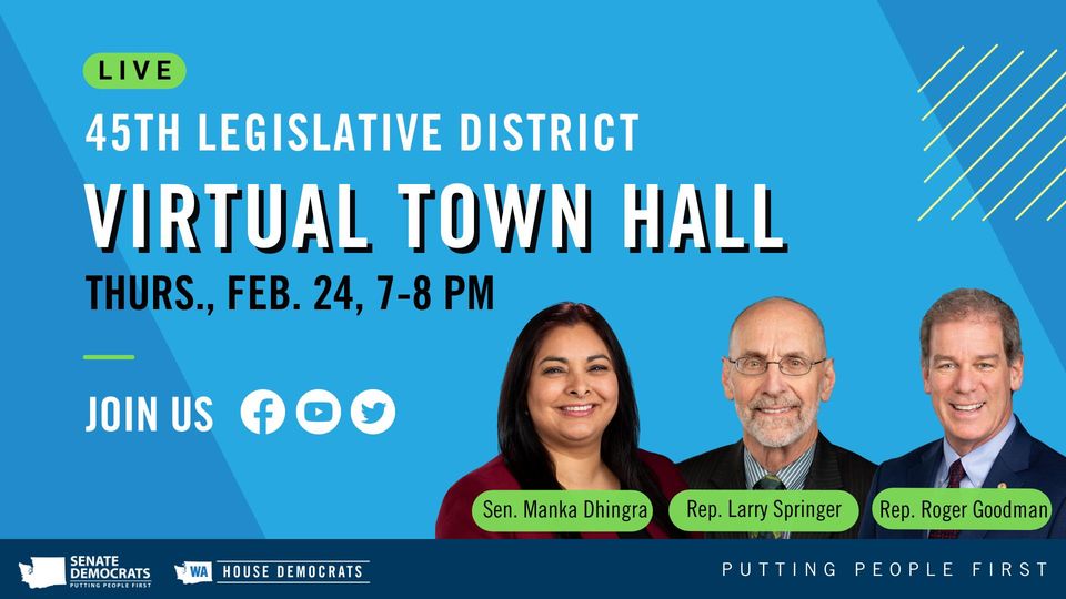 45th LD Virtual Town Hall